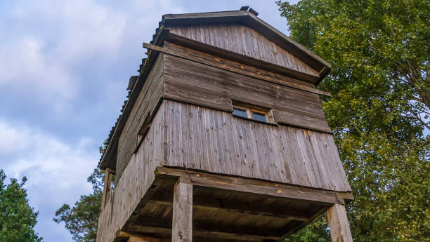 istock A shooting and observation tower for hunting in the forest at dusk. Active leisure concept. 1344130929