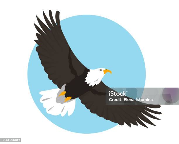 Североамериканский Белоголовый Орлан Летит В Небе Значок Птицы — стоковая векторная графика и другие изображения на тему Орёл