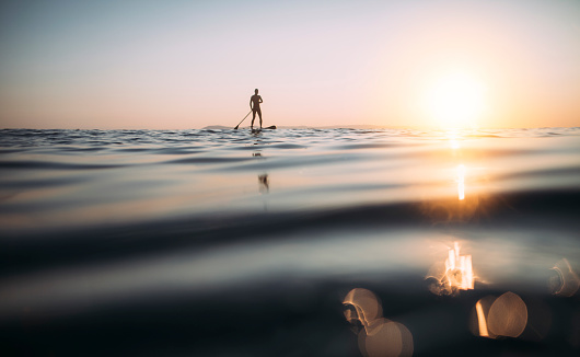 Low angle view of man paddling SUP board at sunset sea.
