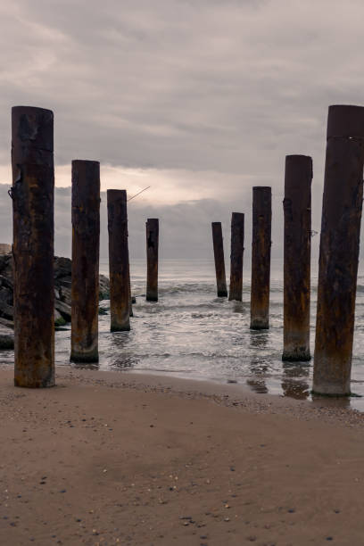 istock piles from old sea pier 1344135450