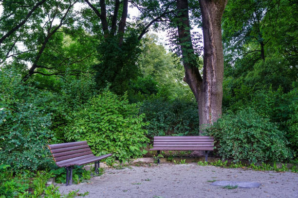 istock Benches to sit in a public park full of greenery. 1344136619
