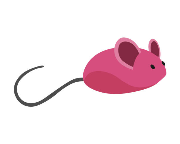 istock Cat accessorie rubber mouse. Funny toy device for playing with animal. Colorful illustration for pet shop. Kiten care icon 1344137789