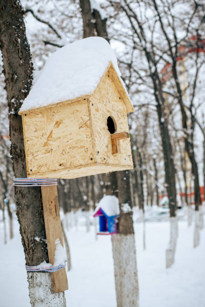 istock birdhouse on a tree in a winter park. Feeding birds in winter. 1344138892