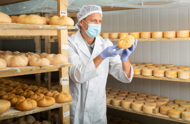 istock Cheesemaker in mask controlling maturing process of cheese wheels 1344140505