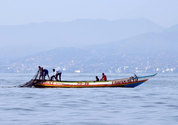 rybacy pracujący na atlantyku, przed freetown, sierra leone - rowboat fishing africa fishing industry zdjęcia i obrazy z banku zdjęć