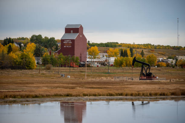 élévateur à grains - red deer, alberta photos et images de collection