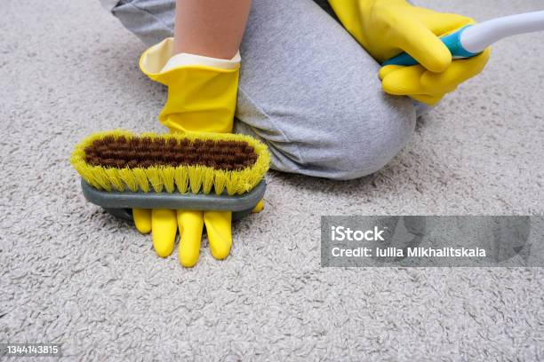 14,400+ Scrubbing Brush Stock Photos, Pictures & Royalty-Free Images -  iStock
