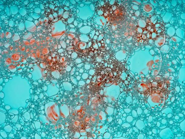 istock Abstract bubble froth brightly illuminated from behind with multi colored pigments ideal for abstract backgrounds depicting texture, shape, form, and vibrant colors 1344147792