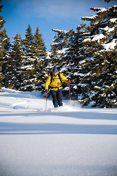 istock Man Skiing Powder Snow 134415625