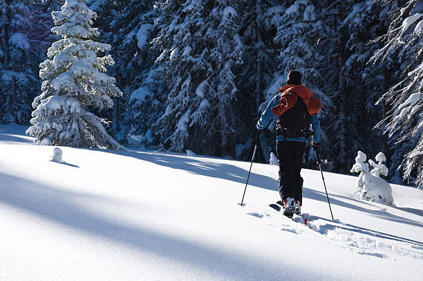 istock Skier Ski Touring in the Mountains with Fresh Snow 134415754
