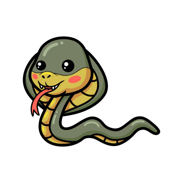 Cartoon Of The King Snake Illustrations, Royalty-Free Vector Graphics & Clip Art - iStock Cartoon Of The King Snake Illustrations, Royalty-Free Vector Graphics & Clip Art - iStock