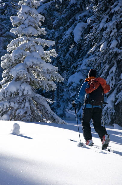 istock Skier Ski Touring in the Mountains with Fresh Snow 134415995