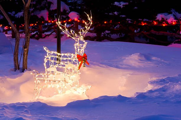 istock Reindeer with Lights Decorated for the Holidays 134416029