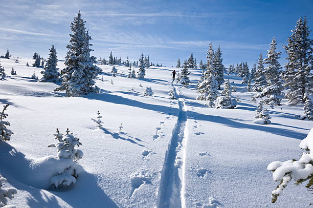 Skier Ski Touring in the Mountains with Fresh Snow stock photo