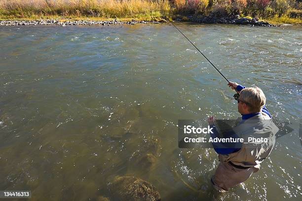 Homem Mosca Pesca Na Paisagem Rio - Fotografias de stock e mais imagens de Adulto - Adulto, Ao Ar Livre, Bota de Água