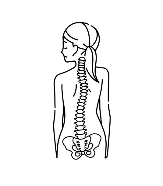 plecy kobiety i zniekształcony kręgosłup - backache lumbar vertebra human spine posture stock illustrations