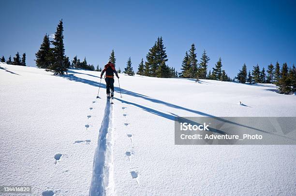 Backcountry Esquiador Skinning En Medio De Las Montañas De Invierno Foto de stock y más banco de imágenes de Beaver Creek