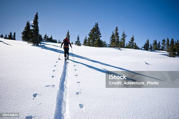 Sciatore Fuoripista Skinning In Montagna Invernale - Fotografie stock e altre immagini di Beaver Creek - Beaver Creek, Colorado, Sci - Sci e snowboard