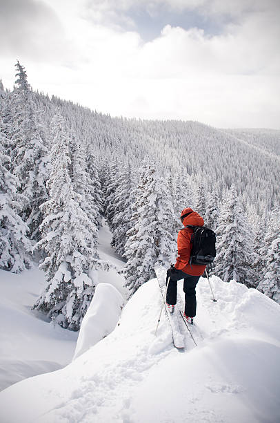 istock Skier Man Stops On Top of Big Cliff 134417077