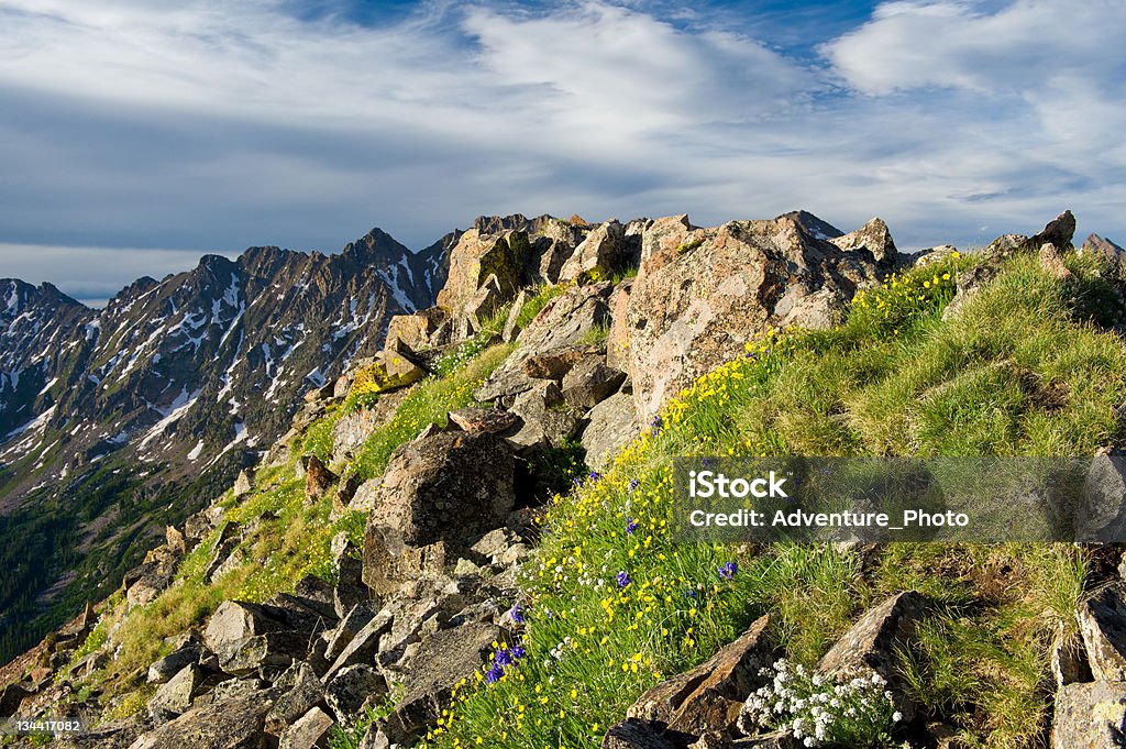 Каменистая крутой Альпийский луг в Хребет Гора Колорадо - Стоковые фото Верхний ракурс роялти-фри