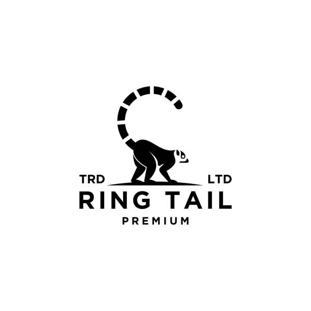 Premium black lemurs ring tail Premium black lemurs ring tail lemur catta stock illustrations