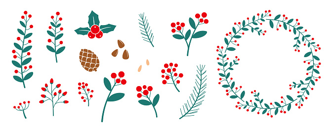 Christmas element, plants, flower, holly berry, Christmas tree, pine, illustration stock illustration