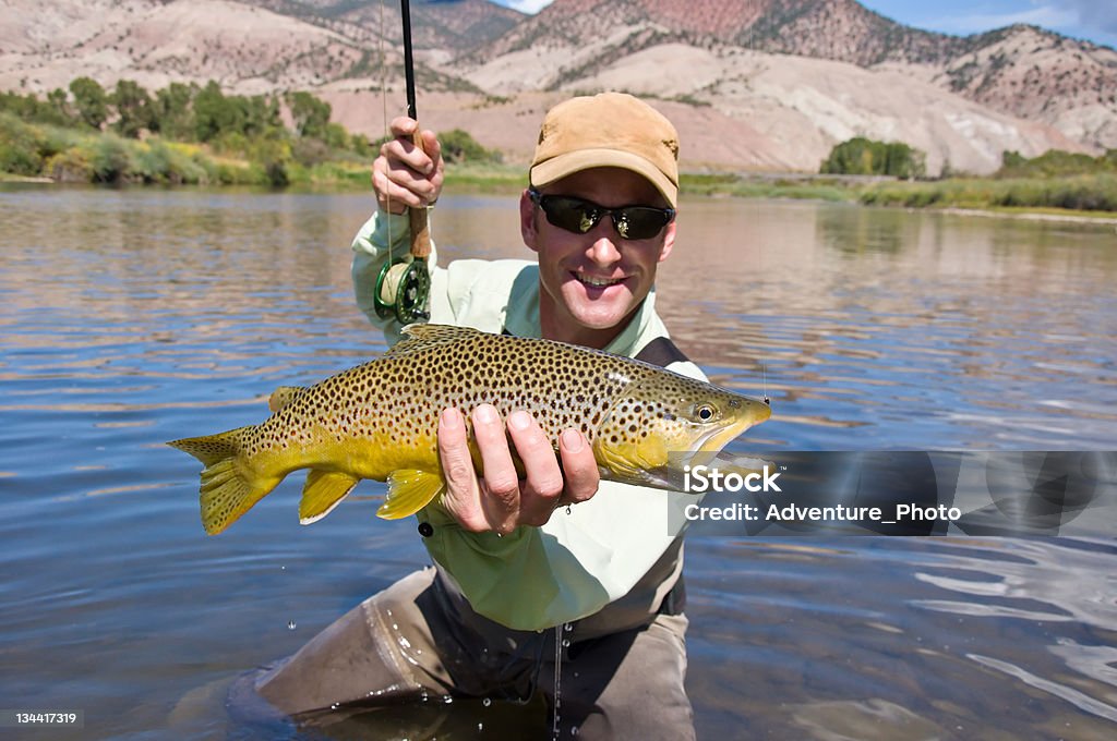 Hombre pesca con mosca pesca de trucha - Foto de stock de Actividades recreativas libre de derechos