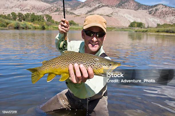 Hombre Pesca Con Mosca Pesca De Trucha Foto de stock y más banco de imágenes de Actividades recreativas - Actividades recreativas, Adulto, Agua