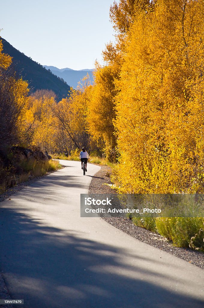 Woman Cycles with Bike on Recreation Path Woman Cycles with Bike on Recreation Path.  Single person riding bike with scenic fall colors in autumn.  Brilliant vibrant cottonwood trees along the edges of bike path.  Converted from 14-bit Raw file.  sRGB color space. Bicycle Lane Stock Photo