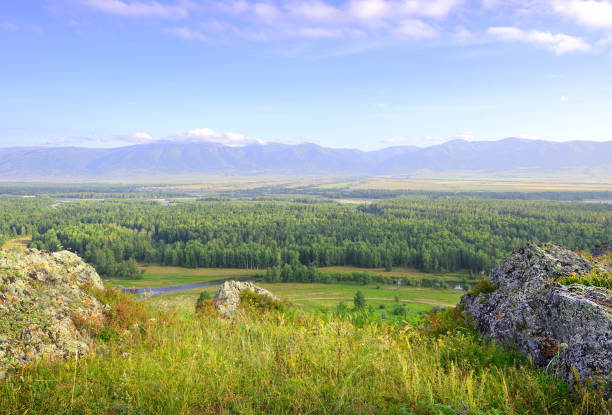 Uymon valley in the Altai Mountains Stones on the edge of the slope above the mountain plain under a blue cloudy sky. Siberia, Russia western siberia stock pictures, royalty-free photos & images