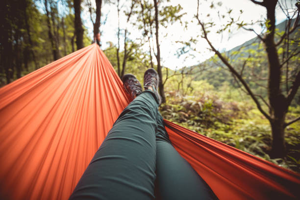 istock Relaxing in hammock in tropical forest 1344186413