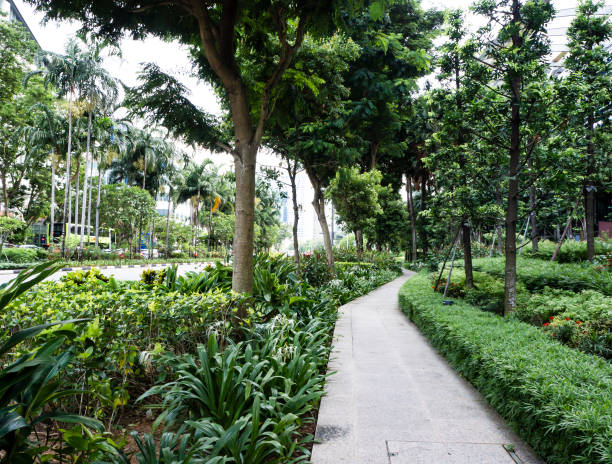 istock Scenic walkway in the city amongst trees and greenery 1344187473