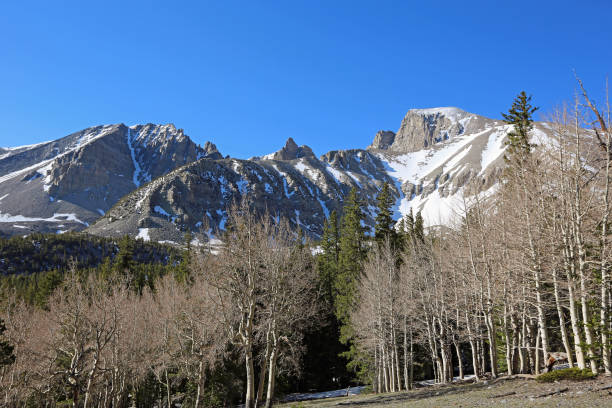 istock Wheeler and Jeff Davis Peaks over aspen trees 1344188477