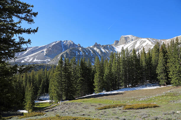 istock Idyllic landscape in Great Basin NP 1344189349