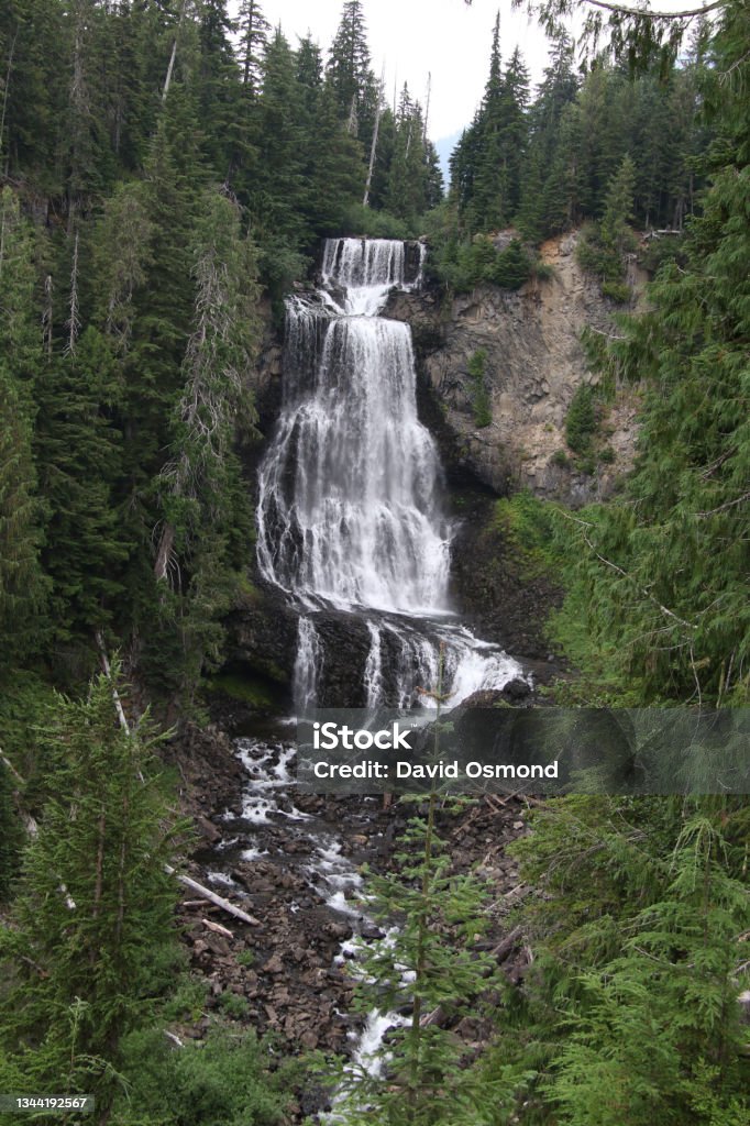 A waterfall cascading down the side of a mountain"n A waterfall cascading down the side of a mountain surrounded by trees in a forest"n Autumn Stock Photo