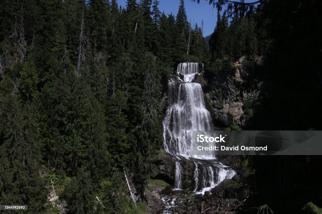 A waterfall cascading down the side of a mountain"n A waterfall cascading down the side of a mountain surrounded by trees in a forest"n Backgrounds Stock Photo