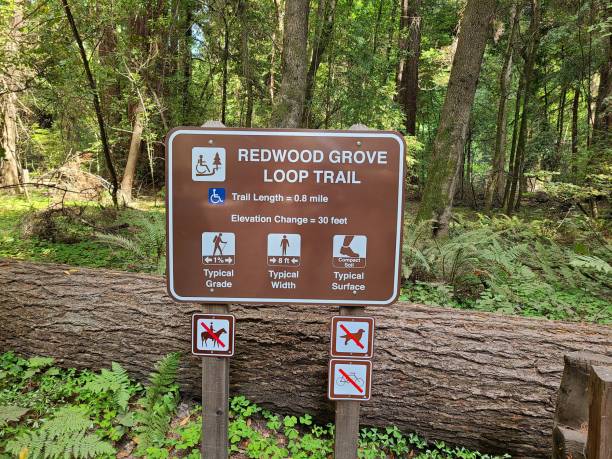 하이킹 트레일 표지판 - rainforest redwood forest footpath 뉴스 사진 이미지
