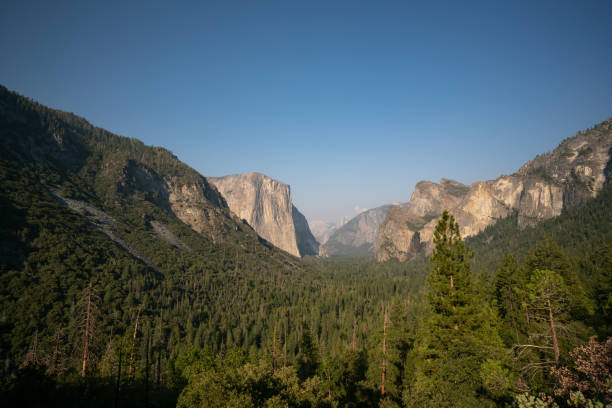 Tunnel view stock photo