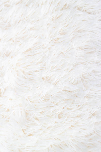istock abstract background of white fur 1344194106