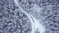 istock Road leading through the winter forest 1344195127