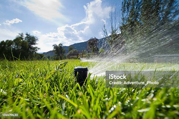 Foto de Gramado No Quintal Sprinkler Jogando Água e mais fotos de stock de Aspersor - Aspersor, Jardim particular, Gramado - Terra cultivada