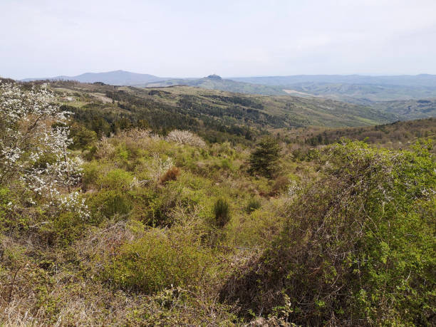 istock Green landscape at Mount Amiata, Tuscany 1344197023