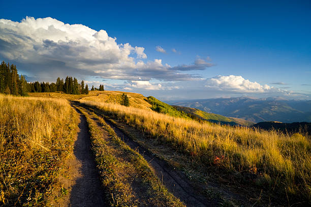 istock Dirt Road Curve on High Mountain Ridge 134419725