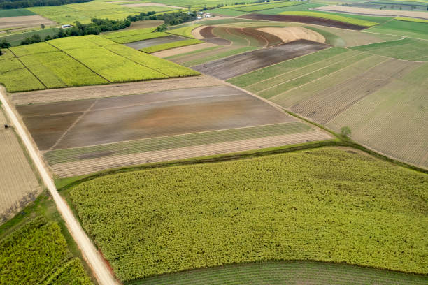 istock Drone Aerial Landscape 1344198125