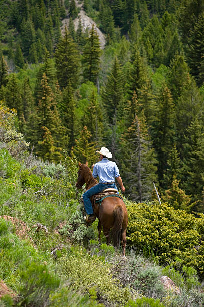 istock Wrangler Cowboy on Horseback 134420030