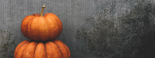 istock Large orange pumpkins near the concrete gray background. 1344201445
