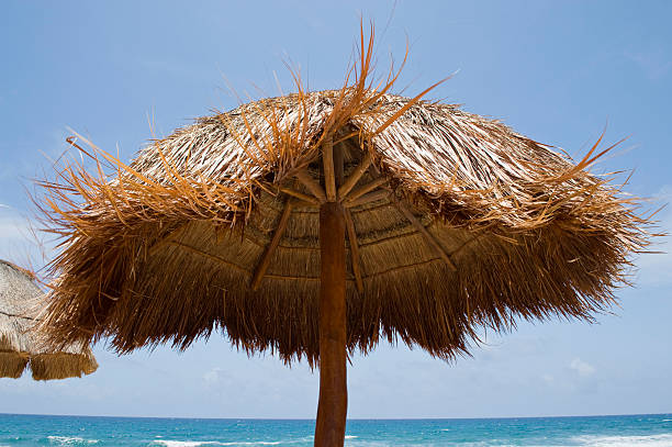 istock Grass Thatched Roof Cabana at Tropical Beach 134420297