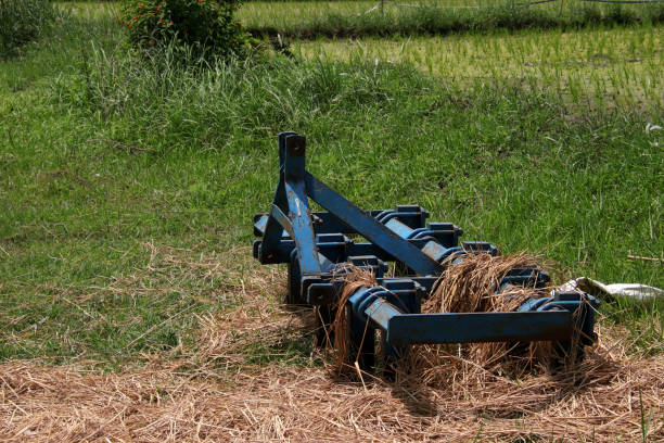 istock Metal plow covered with hay next to rice fields in South India 1344205765