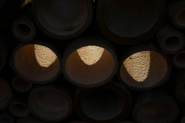 istock Bamboo wall made from native bamboo plants Thailand Asia 1344207942