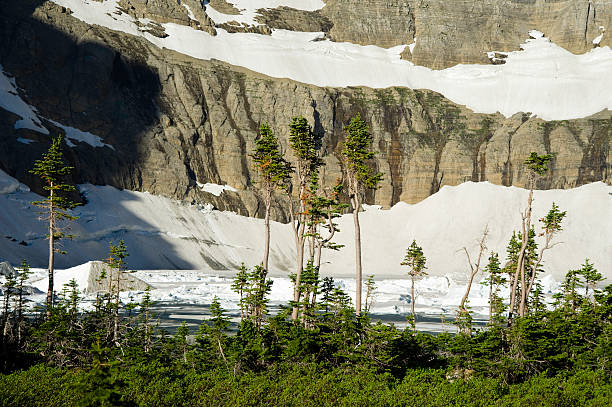 Iceberg Lake Glacier National Park Montana.  Frozen icebergs floating in deep alpine lake.  Scenic winter landscape in one of America's most beautiful national parks.  Converted from 12-bit RAW file.  ProPhoto RGB color space.
